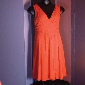 Anne Taylor Dress